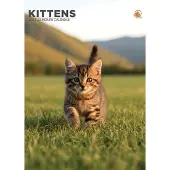 CalendarsRUs Kätzchen A3 Kalender 2027