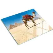 Tulup GLASPLATTE 60x52 cm Kamel in Kairo