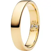 Pandora 164776C01 Damen-Ring Klassische Schiene Goldfarben