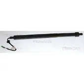TRISCAN Gasfeder, Koffer-/Laderaum 8710 28310
