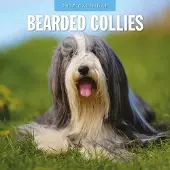 Red Robin Bearded Collie Kalender 2027