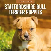 Red Robin Staffordshire Bull Terrier Welpen Kalender 2027