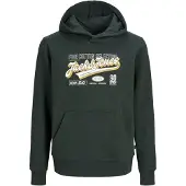 Jack & jones Logo 2col Kapuzenpullover