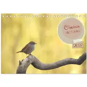 CALVENDO Freie und wilde Vögel (Schreibtischkalender 2027, DIN A5, Hochformat), Monatskalender