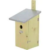 Best for birds Nistkasten zum Beobachten aus Kiefernholz