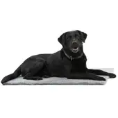 Kruuse Vet Bed, grau, 75 x 50 cm