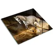 Tulup GLASPLATTE 60x52 cm Schimmel im Stall