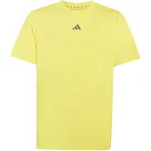 Adidas Tshirts KT1815000PURLEMGREF