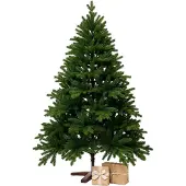 VIVANNO Weihnachtsbaum Polyethylen NORDMANN 180 Rund, Grün naturgetreu - 127x180 cm