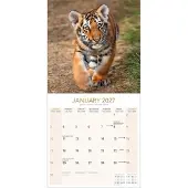 Avonside Publishing Ltd. Tiger Kalender 2027