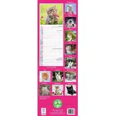 Avonside Publishing Ltd. Kätzchen Kalender 2027 Slimline