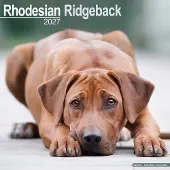 Avonside Publishing Ltd. Rhodesian Ridgeback Kalender 2027