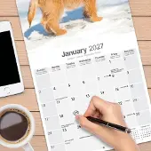 Avonside Publishing Ltd. Cairn Terrier Kalender 2027