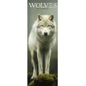 Avonside Publishing Ltd. Wölfe Kalender 2027 Slimline