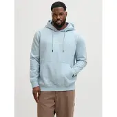 Jack & jones Kapuzensweatshirt "JJESOHO SWEAT HOOD NOOS PLS", mit Logobranding