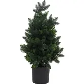 MCW R29-55