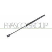 PRASCO CI3049055 Gasfeder Heckklappendämpfer für CITROËN C2 Schrägheck (JM) 460mm