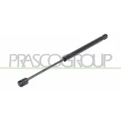 PRASCO HN8029065 Gasfeder Heckklappendämpfer für HYUNDAI TUCSON (JM) 380mm