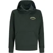 Jack & Jones Logo Kapuzenpullover Boys