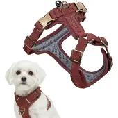Peluvio Lord Leder Hundegeschirr mit Guard-Konstruktion