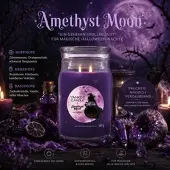 Yankee candle Amethyst Moon Signature Jar 567g 2-Docht