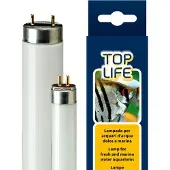 Ferplast Aquasky 8w Neon-aquarienlampe