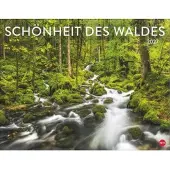 Heye Schönheit des Waldes Posterkalender 2027