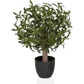 Hjh OFFICE Olive S