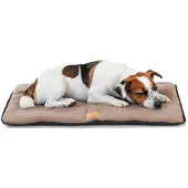 Ferplast Hundekissen Hundesofa Hundebett Mittelgroße Hunde Zweiseitig Kratzfeste