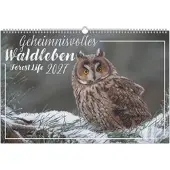 Sonstige Verlage Geheimnisvolles Waldleben 2027