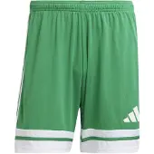 Adidas Herren Short Squadra 25 JN7482 XL - Team Green/White - XL