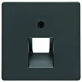 Berker ZST F.DATEND. 1F.SCHWARZ MATT (14076085 Q.X)