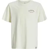 Jack & Jones Jwhbrandes Back Tee Ss Jnr