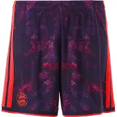 Adidas Herren Teamhose FC Bayern 26/27 Third