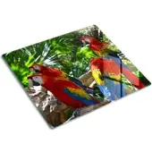 Tulup GLASPLATTE 60x52 cm Aras Papageien