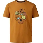 Dare 2b Dare2b Trailblz Iiitee dark cumin (ZJ2) 7-8yrs