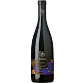 Weingut Gesellmann Blaufränkisch Hochberc 2021 BIO