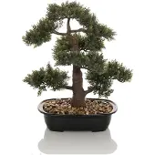 Hjh OFFICE Bonsai