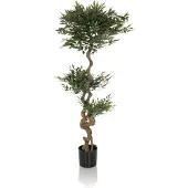 Hjh OFFICE Acacia