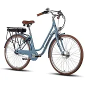 Saxxx CLASSIC PLUS 2.0 E-Bike mit Rücktrittbremse