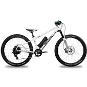 AMPERUM ben-e-bike, TWENTYFOUR E-Power PRO 24" Kinder E-Bike