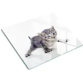 Tulup GLASPLATTE 60x52 cm Kleine Katze