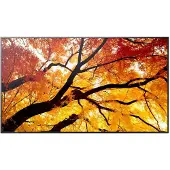 Sharp MultiSync M652, Digital Signage Flachbildschirm, 139,7 cm (55"), LCD, 3840 x 2160 Pixel