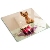 Tulup GLASPLATTE 60x52 cm Hund mit Kuchen