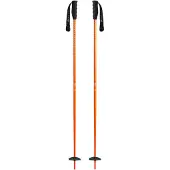 Black Crows Meta 24/25 Poles
