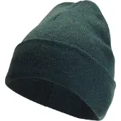Woolpower Mütze Beanie Classic Forest Green