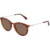 Polaroid PLD 4143/S/X Unisex-Sonnenbrille Vollrand Panto Kunststoff-Gestell, braun