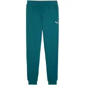 Puma Trainingsanzüge ESS ELEVATED Sweatpants TR cl herren