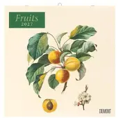 Sonstige Verlage Wandkalender 2027 Fruits im Retro-Charme, 30 x 30 cm, 6-sprachiges Kalendarium
