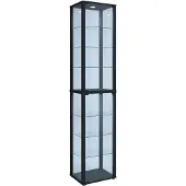 VCM Sammel Stand Vitrine Holz Glas Kavis XL